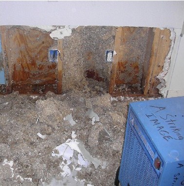 wet wall and sheetrock
