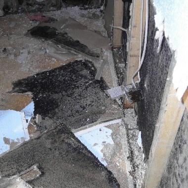 flood with mold